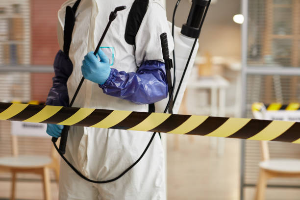 Professional Sewage Cleanup technician working in Millville, UT